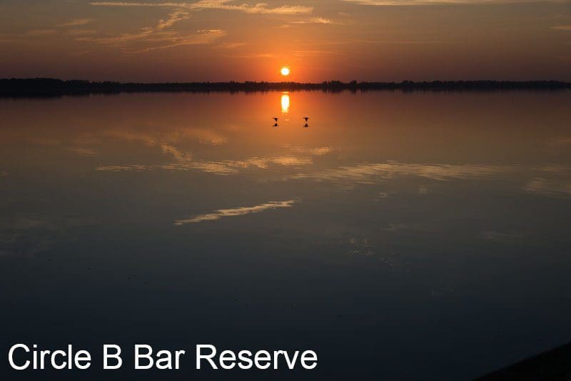 Circle B Bar Reserve