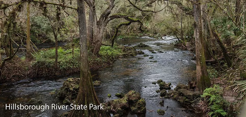 Featured image for “Hillsborough River State Park”